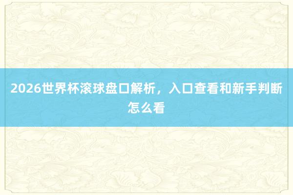 2026世界杯滚球盘口解析，入口查看和新手判断怎么看